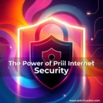 Artistic representation for The Power of Priil Internet Security